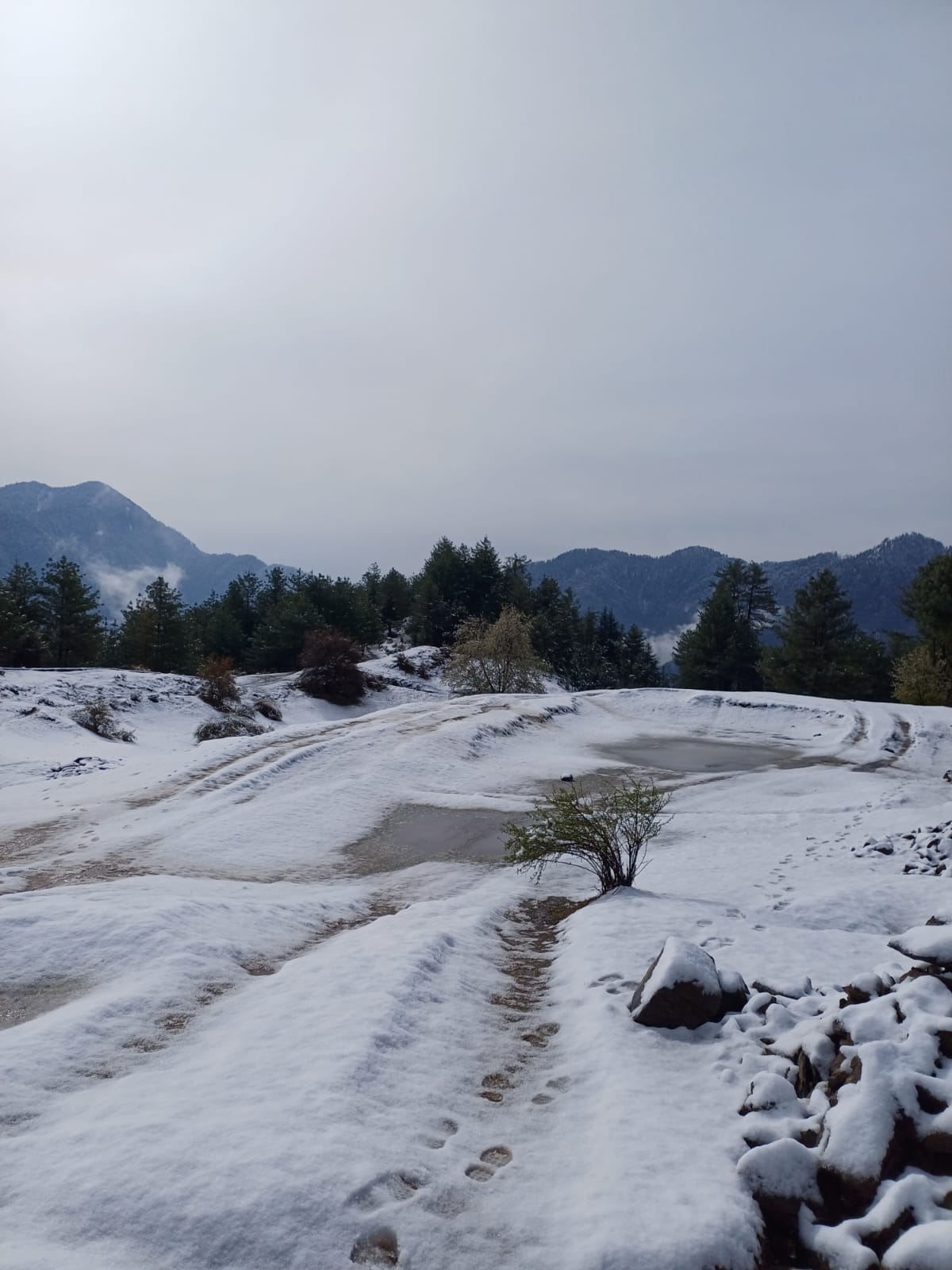 Pin Valley Glacial